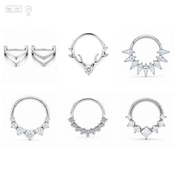 Pack of 5 – ASTM F136 Titanium Segment Ring – Natural Titanium Chevron, Antler & Crystal Crowns
