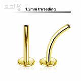 Pack of 5 Gold PVD plated titanium internally threaded curved labret posts with 4mm base plate, thickness 1.2mm