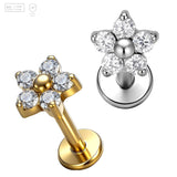 Pack of 5 G23 ASTM F136 Titanium Labret Stud | Threadless Push-In & Internally Threaded | Earring High Grade Ear Stud Gold