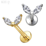 Pack of 5 G23 ASTM F136 Titanium Labret Stud | Threadless Push-In & Internally Threaded | Zircon Gold Plated Tragus Helix