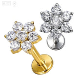 Pack of 5 G23 ASTM F136 Titanium Labret Stud | Threadless Push-In & Internally Threaded | Antiallergic Gold PVD Plated CZ Lip