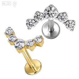 Pack of 5 G23 ASTM F136 Titanium Labret Stud | Threadless Push-In & Internally Threaded | High Grade Ear Studs with Five