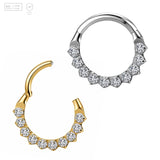 Pack of 5 G23 ASTM F136 Titanium Hinged Segment Ring | Nose Ring with Zircon Septum Clicker Body Piercing Jewelry for Gift
