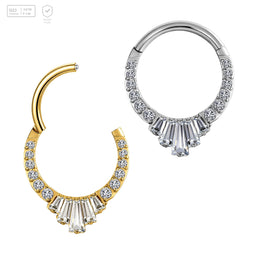 Pack of 5 G23 ASTM F136 Titanium Hinged Segment Ring | Nose Ring Hoop Zircon Daith Helix Septum Piercing 18G 20G Segment Clicker Gold