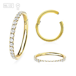 Wholesale Pack of 5 Gold PVD plated Titanium G23 hinged segment rings with outward facing prong set CZ on 3/4 of the circumference - G23 ASTM F-136 implant grade titanium body jewelry