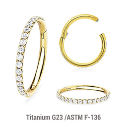 Wholesale Pack of 5 Gold PVD plated Titanium G23 hinged segment rings with outward facing prong set CZ on 3/4 of the circumference