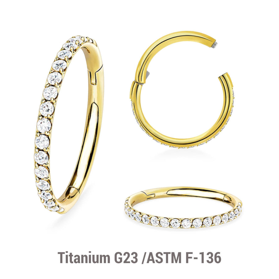 Wholesale Pack of 5 Gold PVD plated Titanium G23 hinged segment rings with outward facing prong set CZ on 3/4 of the circumference