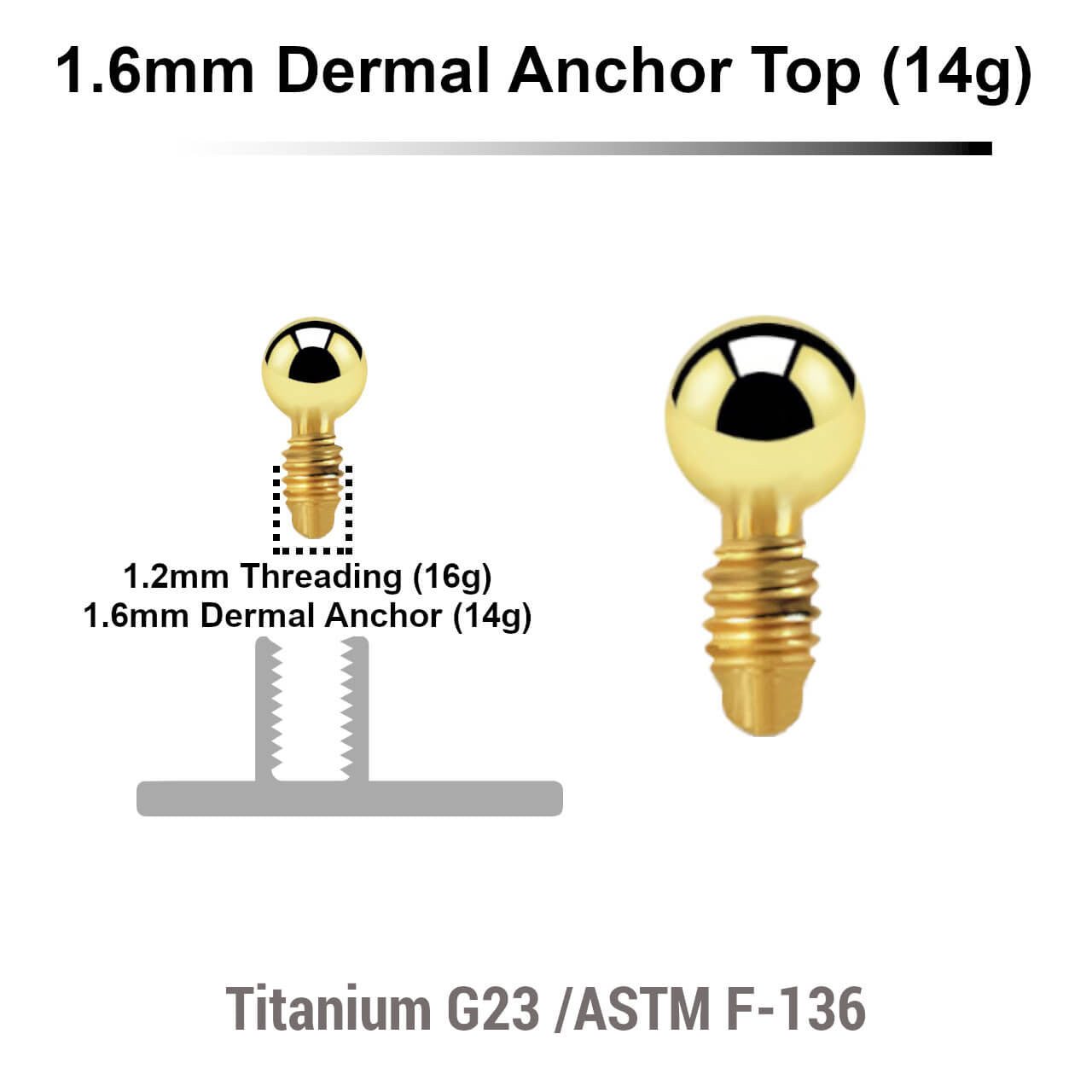 Pack of 10 Gold PVD plated Titanium G23 ball shaped dermal anchor tops in size 2mm, internal thread size 1.2mm