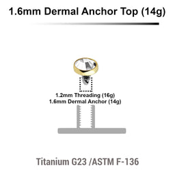Pack of 10 Gold PVD plated Titanium G23 flat disk dermal anchor tops with bezel set crystal, size 3mm, internal thread size 1.2mm