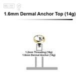Pack of 10 Gold PVD plated Titanium G23 flat disk dermal anchor tops with bezel set crystal, size 3mm, internal thread size 1.2mm - G23 ASTM F-136 implant grade titanium body jewelry