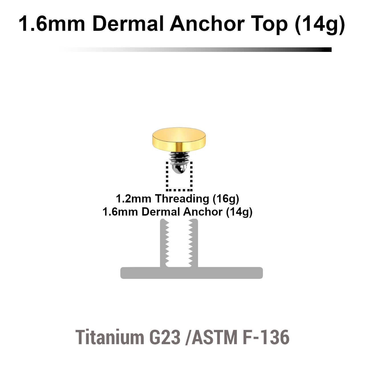 Pack of 10 Gold PVD plated Titanium G23 flat disk dermal anchor tops in size 3mm, internal thread size 1.2mm