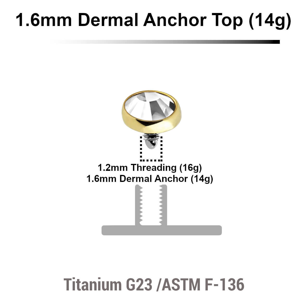 Pack of 10 Gold PVD plated Titanium G23 flat disk dermal anchor tops with bezel set crystal, size 4mm, internal thread size 1.2mm