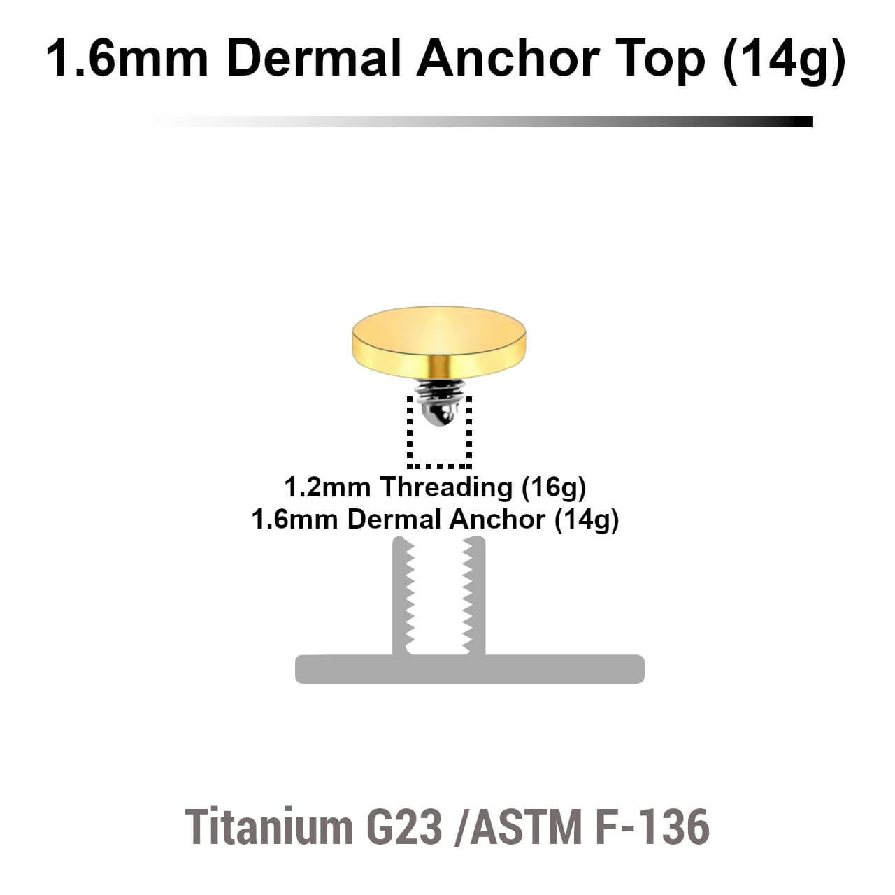 Pack of 10 Gold PVD plated Titanium G23 flat disk dermal anchor tops in size 4mm, internal thread size 1.2mm