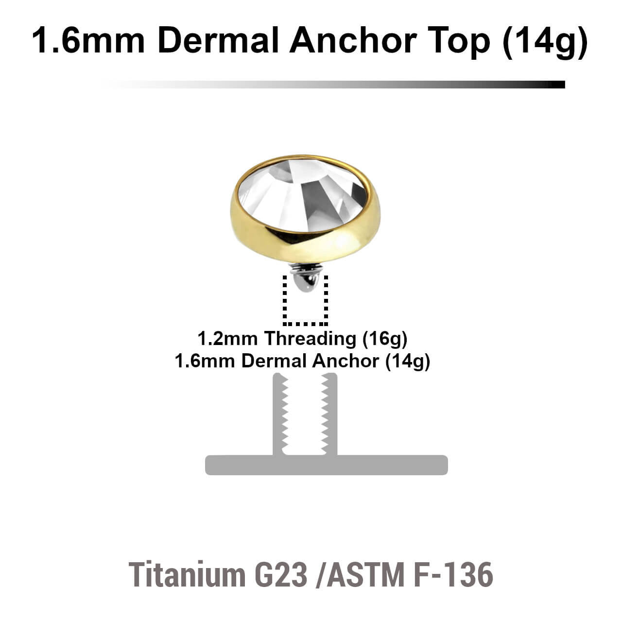 Pack of 10 Gold PVD plated Titanium G23 flat disk dermal anchor tops with bezel set crystal, size 5mm, internal thread size 1.2mm