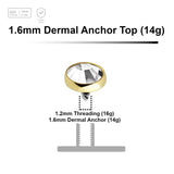 Pack of 10 Gold PVD plated Titanium G23 flat disk dermal anchor tops with bezel set crystal, size 5mm, internal thread size 1.2mm - G23 ASTM F-136 implant grade titanium body jewelry