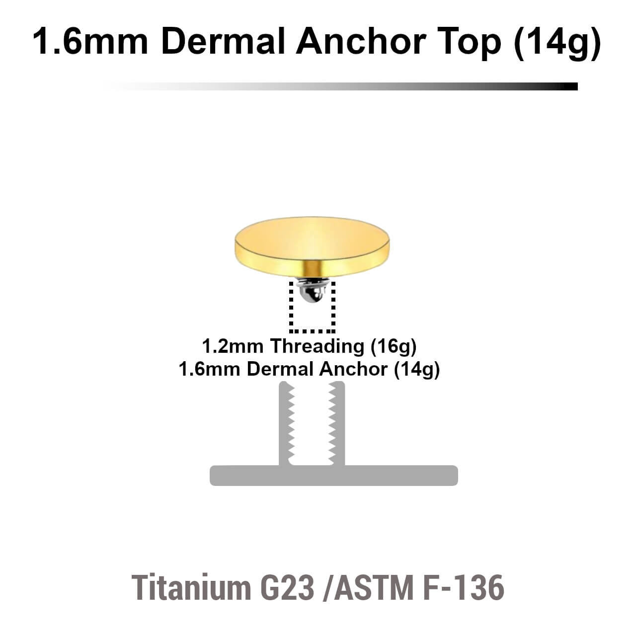 Pack of 10 Gold PVD plated Titanium G23 flat disk dermal anchor tops in size 5mm, internal thread size 1.2mm