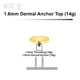 Pack of 10 Gold PVD plated Titanium G23 flat disk dermal anchor tops in size 5mm, internal thread size 1.2mm - G23 ASTM F-136 implant grade titanium body jewelry