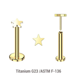 Pack of 5 Gold PVD plated Titanium threadless push in labrets with 3mm flat star shaped tops