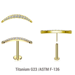 Pack of 5 Gold PVD plated Titanium threadless push in labrets with a CZ studded crescent moon top