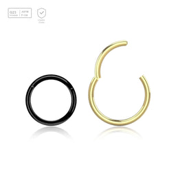 Wholesale Pack of 10 PVD plated Titanium G23 hinged segment rings, Thickness 1mm - G23 ASTM F-136 implant grade titanium body jewelry