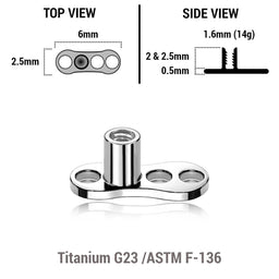 Pack of 10 high polished titanium G23 dermal anchor base plates with a length of 6mm with 3 round holes. External size of the pin is 1.6mm and internal thread size is 1.2mm