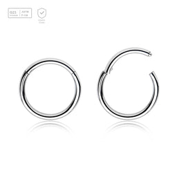 Wholesale Pack of 10 Titanium G23 hinged segment rings, Thickness 1mm - G23 ASTM F-136 implant grade titanium body jewelry