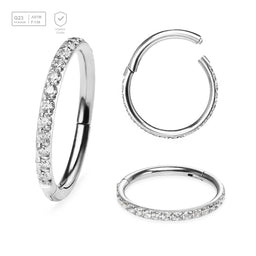 Wholesale Pack of 5 Titanium G23 hinged segment rings with outward facing prong set CZ on 3/4 of the circumference - G23 ASTM F-136 implant grade titanium body jewelry
